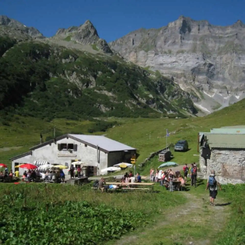 Fromage raclette alpage Emaney