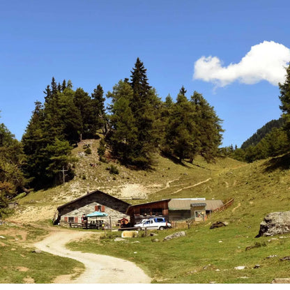 Raclette alpage du Tronc Vollèges